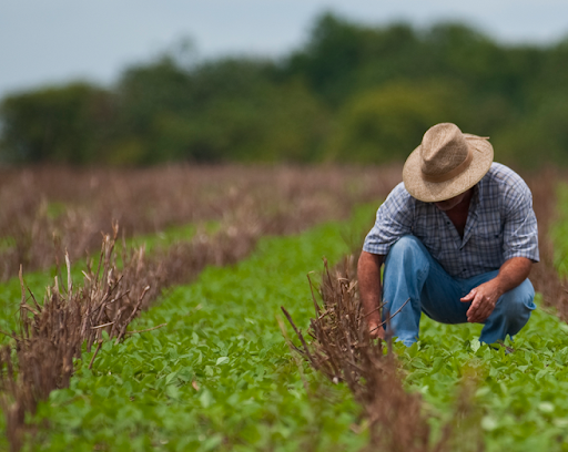 JUSTIÇA GARANTE REGISTRO PROVISÓRIO A TÉCNICO AGRÍCOLA APROVADO NO CNU