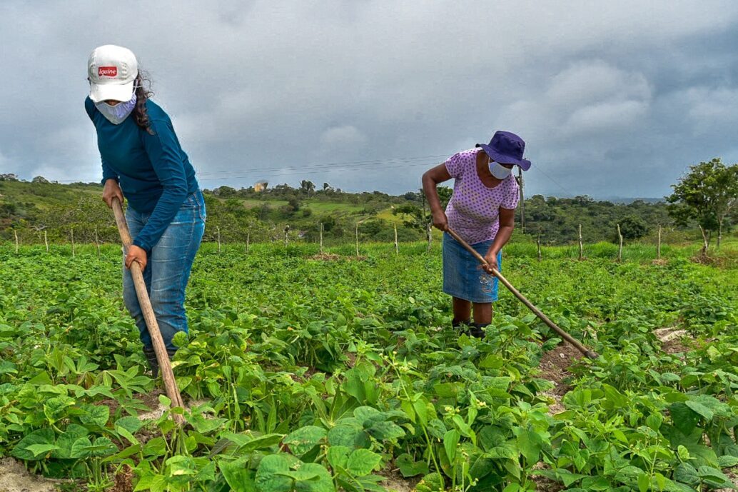 Mulheres comandam produção em duas em cada dez propriedades rurais